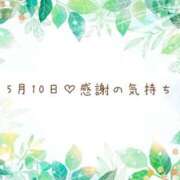 ヒメ日記 2026/05/10 18:54 投稿 さくら あとりえ(ATELIER)