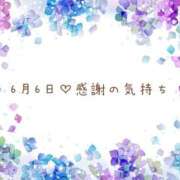 ヒメ日記 2026/06/07 18:11 投稿 さくら あとりえ(ATELIER)