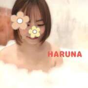 ヒメ日記 2025/04/29 09:27 投稿 はるな あとりえ(ATELIER)