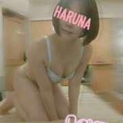 ヒメ日記 2025/05/26 16:00 投稿 はるな あとりえ(ATELIER)