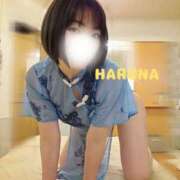 ヒメ日記 2025/06/06 07:49 投稿 はるな あとりえ(ATELIER)