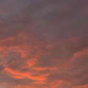 ヒメ日記 2025/10/14 08:59 投稿 はるな あとりえ(ATELIER)