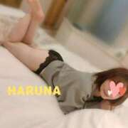 ヒメ日記 2025/11/20 10:25 投稿 はるな あとりえ(ATELIER)