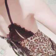 ヒメ日記 2026/02/02 11:20 投稿 高嶺　れいか ドMな奥様 すすきの店