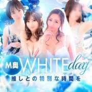 ヒメ日記 2026/03/13 13:16 投稿 高嶺　れいか ドMな奥様 すすきの店