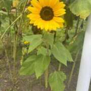 ヒメ日記 2024/12/11 19:26 投稿 のん クリスタル