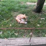 ヒメ日記 2024/12/13 14:46 投稿 のん クリスタル