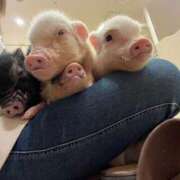 ヒメ日記 2025/01/27 14:16 投稿 のん クリスタル