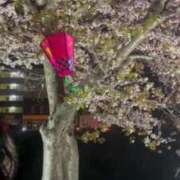 ヒメ日記 2025/04/28 20:56 投稿 のん クリスタル