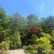 ヒメ日記 2025/06/11 08:16 投稿 のん クリスタル