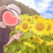 ヒメ日記 2025/08/11 21:33 投稿 のん クリスタル