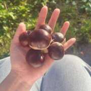 ヒメ日記 2025/09/14 17:02 投稿 のん クリスタル