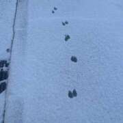 ヒメ日記 2025/12/10 06:26 投稿 のん クリスタル