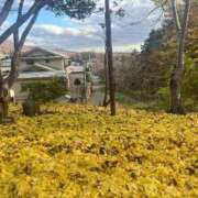 のん 今日はごめんなさい🙇‍♀️ クリスタル