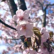 ヒメ日記 2026/04/30 08:55 投稿 のん クリスタル