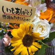 ヒメ日記 2025/01/17 15:25 投稿 相沢ひかる 桃色奥様(佐賀)