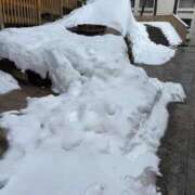 ヒメ日記 2025/02/18 09:05 投稿 相沢ひかる 桃色奥様(佐賀)