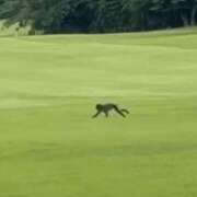 ヒメ日記 2025/06/19 12:05 投稿 相沢ひかる 桃色奥様(佐賀)