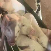 ヒメ日記 2025/08/02 23:15 投稿 相沢ひかる 桃色奥様(佐賀)