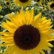 ヒメ日記 2025/09/01 16:05 投稿 相沢ひかる 桃色奥様(佐賀)