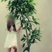 ヒメ日記 2025/12/04 14:05 投稿 相沢ひかる 桃色奥様(佐賀)