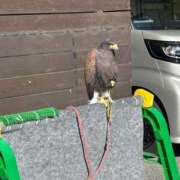 ヒメ日記 2025/12/13 09:05 投稿 相沢ひかる 桃色奥様(佐賀)