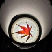 ヒメ日記 2025/12/16 15:05 投稿 相沢ひかる 桃色奥様(佐賀)