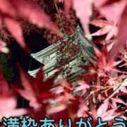 ヒメ日記 2025/12/19 19:15 投稿 相沢ひかる 桃色奥様(佐賀)