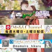 ヒメ日記 2026/02/19 10:19 投稿 相沢ひかる 桃色奥様(佐賀)