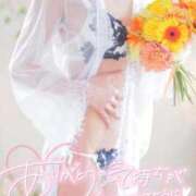 ヒメ日記 2026/02/23 20:25 投稿 相沢ひかる 桃色奥様(佐賀)