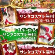 ヒメ日記 2024/12/12 10:55 投稿 小林まお 桃色奥様(佐賀)