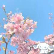 ヒメ日記 2025/03/12 18:35 投稿 小林まお 桃色奥様(佐賀)