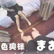 ヒメ日記 2025/07/28 15:25 投稿 小林まお 桃色奥様(佐賀)