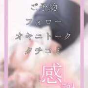 ヒメ日記 2025/07/29 14:47 投稿 小林まお 桃色奥様(佐賀)