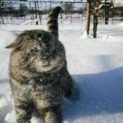 ヒメ日記 2025/01/10 20:05 投稿 小野えま 桃色奥様(佐賀)