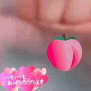 ヒメ日記 2025/04/20 11:05 投稿 松田のぞみ 桃色奥様(佐賀)