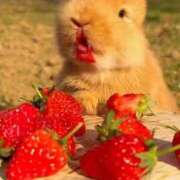 ヒメ日記 2025/03/30 17:15 投稿 佐山れい（さやまれい） 桃色奥様(佐賀)