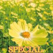 ヒメ日記 2026/03/01 17:55 投稿 佐山れい（さやまれい） 桃色奥様(佐賀)