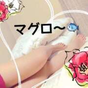 ヒメ日記 2026/03/04 17:05 投稿 佐山れい（さやまれい） 桃色奥様(佐賀)