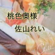 ヒメ日記 2026/03/28 04:45 投稿 佐山れい（さやまれい） 桃色奥様(佐賀)