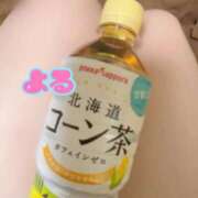 ヒメ日記 2025/10/11 09:30 投稿 よる 逆電車ごっこ ～GLAMOROUS TRAIN～