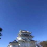 ヒメ日記 2025/02/11 15:06 投稿 斉藤みお ドクトル・ストレッチ