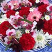 ヒメ日記 2025/02/17 15:18 投稿 斉藤みお ドクトル・ストレッチ