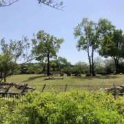 ヒメ日記 2025/05/04 19:11 投稿 斉藤みお ドクトル・ストレッチ