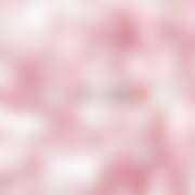 ヒメ日記 2026/03/18 22:07 投稿 ゆうか VIVIDCREWマダムセカンドバージン 梅田店