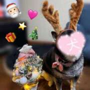 ヒメ日記 2024/12/24 18:46 投稿 あいる マリン宇都宮店