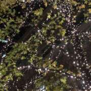 ヒメ日記 2024/12/27 12:37 投稿 みお 今日から私はエステティシャン