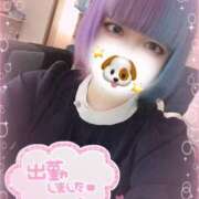 ヒメ日記 2025/04/16 14:43 投稿 ちい 川越ぷよステーション