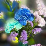 ヒメ日記 2025/04/17 22:15 投稿 かずは abc＋