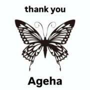 ヒメ日記 2025/05/14 03:07 投稿 あげは ラッシュアワー